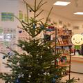 Weihnachtsstimmung in der Bibliothek